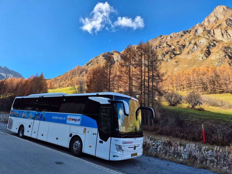 Viabus